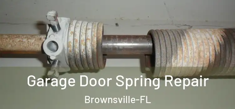  Garage Door Spring Repair Brownsville-FL