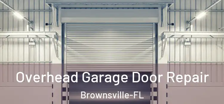  Overhead Garage Door Repair Brownsville-FL