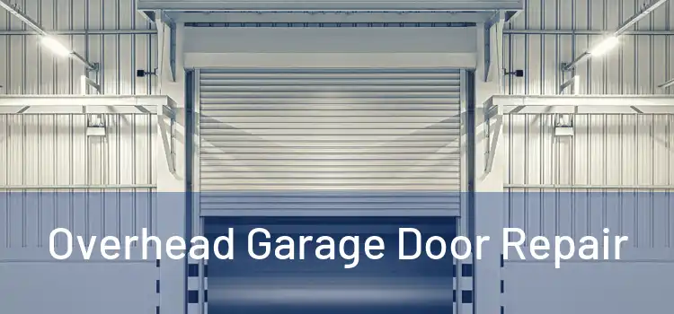 Overhead Garage Door Repair 